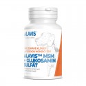 ALAVIS™ MSM + Glukosamin sulfát 60 tbl
