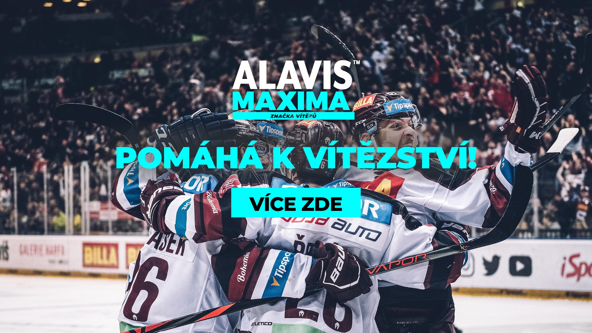 alavis-maxima.cz